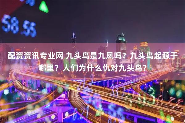 配资资讯专业网 九头鸟是九凤吗？九头鸟起源于哪里？人们为什么仇对九头鸟？