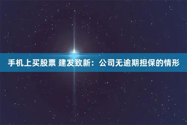 手机上买股票 建发致新：公司无逾期担保的情形